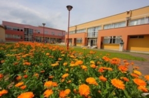 ZSEM garden  